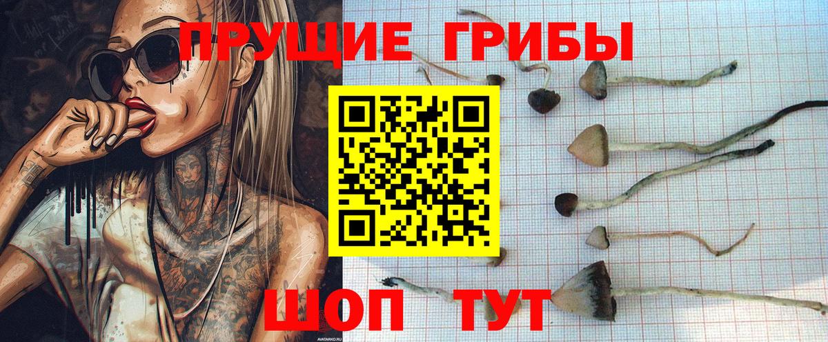 Галлюциногенные грибы мухоморы  Вход с VPN  Галлюциногенные грибы Magic Shrooms  Аксай 